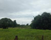 ที่ดินว่างเปล่าหลุดจำนอง ธ.ธนาคารกสิกรไทย บ้านแก้ง นาแก นครพนม