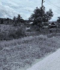 ที่ดินว่างเปล่าหลุดจำนอง ธ.ธนาคารกสิกรไทย เวินพระบาท ท่าอุเทน นครพนม