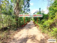 ที่ดินว่างเปล่าหลุดจำนอง ธ.ธนาคารกสิกรไทย หนองย่างชิ้น เรณูนคร นครพนม