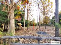 ที่ดินว่างเปล่าหลุดจำนอง ธ.ธนาคารกสิกรไทย เรณูใต้ เรณูนคร นครพนม